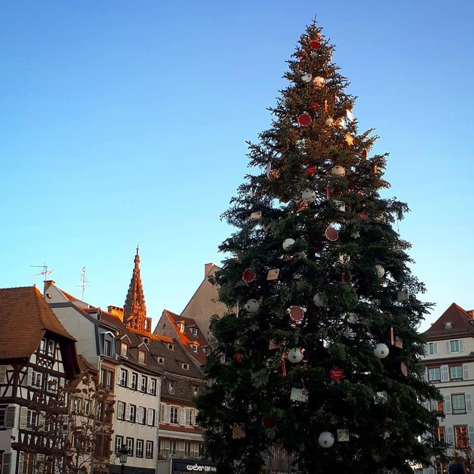 Premiere Classe Strasbourg Sud - Illkirch Экстерьер фото